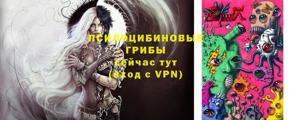 молекула духа Алексеевка