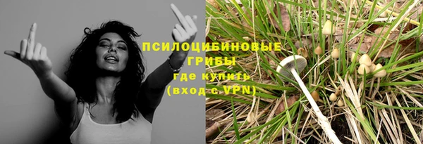 спиды Алексин