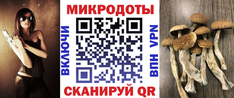 Псилоцибиновые грибы MAGIC MUSHROOMS  Плавск 